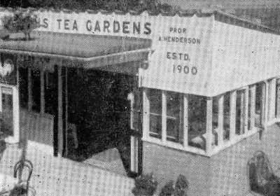 Haddath&#39;s Tea Gardens