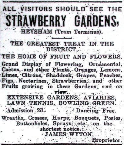 Strawberry Gardens advert