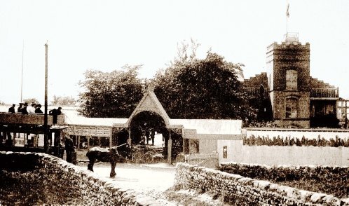 Strawberry Gardens with horsentram